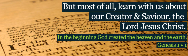 Trust in our Saviour, the Lord Jesus Christ